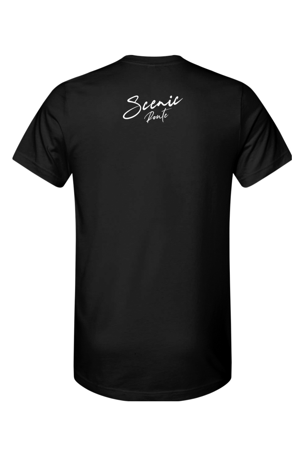 Men's Scenic Point Tee